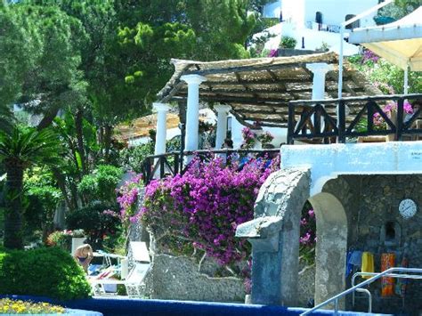 Isola d'Ischia Pictures - Traveller Photos of Isola d'Ischia, Province ...