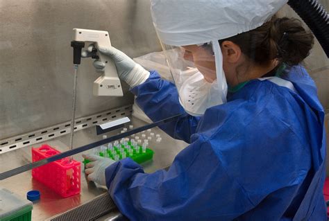 Qué es salud pública según la OMS | Euroinnova
