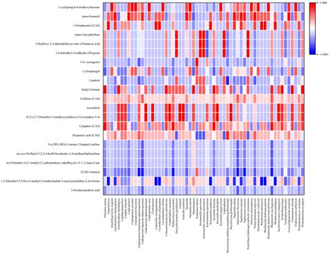 The Relationship between Microbial Communities in Coffee Fermentation ...