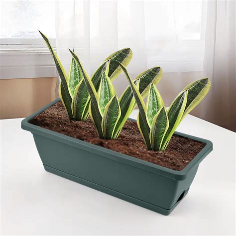 BGZLEU Box Planter,Window Box Planter,Plastic Vegetable Flower Planters ...