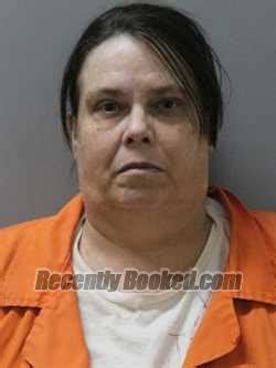 PATRICIA LEE Arrest Record & Booking Info - Blaine County, Idaho ...