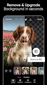 Picsart AI Photo Editor, Video – Apps on Google Play