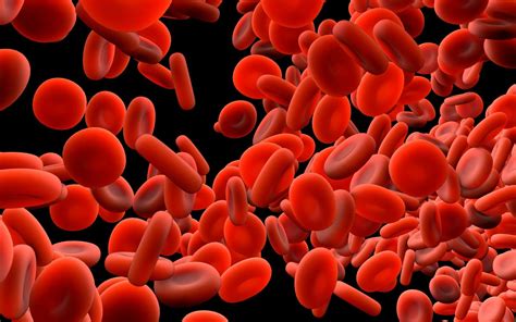 Coagulation Dental Definition at Fernande Frank blog