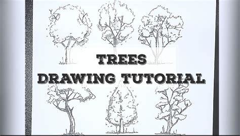 Image result for Design Tree Tutorial
