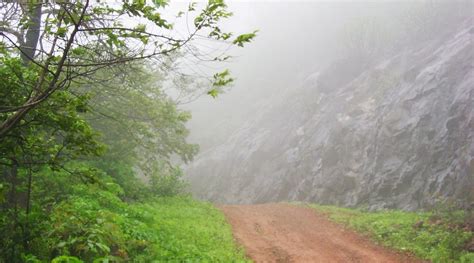 TUNGARESHWAR WILDLIFE SANCTUARY (2025) All You Need to Know BEFORE You ...