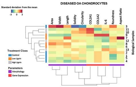 Therapeutic Modulation of Cell Morphology and Phenotype of Diseased ...