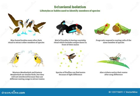 Behavioral Isolation Vector Illustration Collection Set. Explanation ...