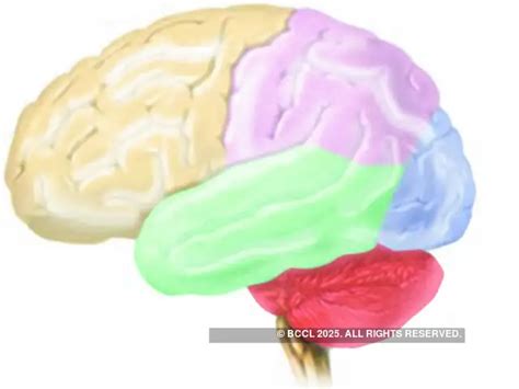 How to brainstorm better at work - How to brainstorm better at work ...