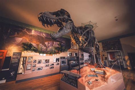 Discovering Dinosaurs Gallery, Wollaton Park, NG8 2AE Nottingham ...