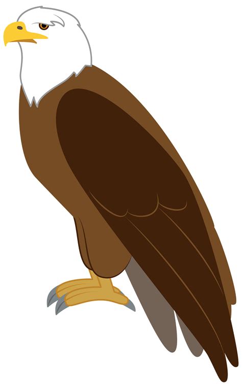 Funny Eagle Clip Art