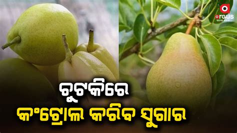 ସୁଗାର ନିୟନ୍ତ୍ରଣ କରିବ ନାଶପାତି