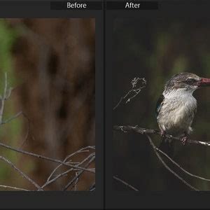 Lightroom Collection Set 的图像结果