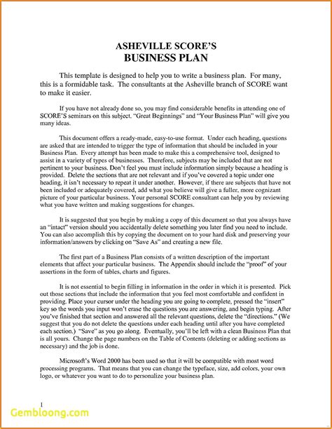 Score Nonprofit Business Plan Template – williamson-ga.us