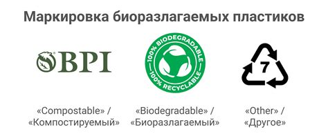 Что такое биоразлагаемая упаковка? Из чего состоит биоупаковка