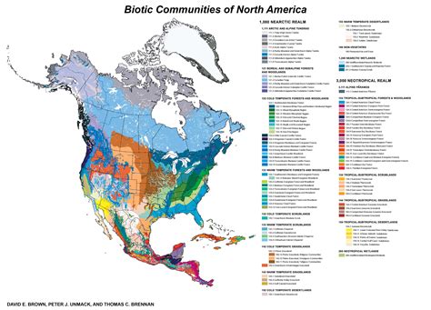 Biomes Of North America Coloring Pages [2025]