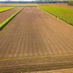 Commercial Farming 的图像结果