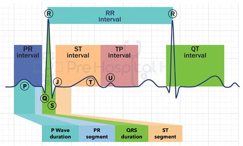 QT And QTc Interval - Prehospital Hub