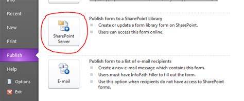 InfoPath Filler 2010 Tutorial 的图像结果