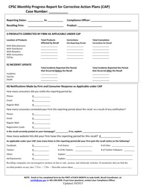 24+ Free Editable Product Report Templates in MS Word [DOC] - Page 2 ...