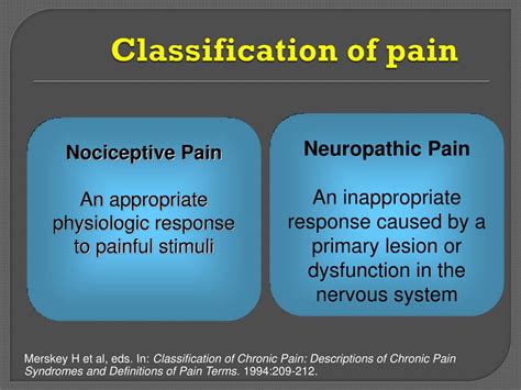 PPT - Neuropathic pain PowerPoint Presentation, free download - ID:7295757
