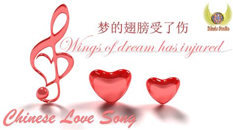 梦的翅膀受了伤 - Meng De Chi Bang Shou Le Shang ( Chinese Music - Wings of dream has injured )
