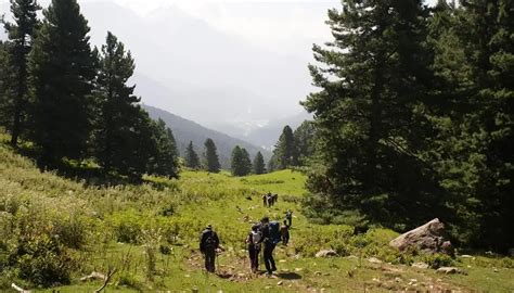 Nafran Valley Trek 2026 - Cost, Duration & Safety Tips