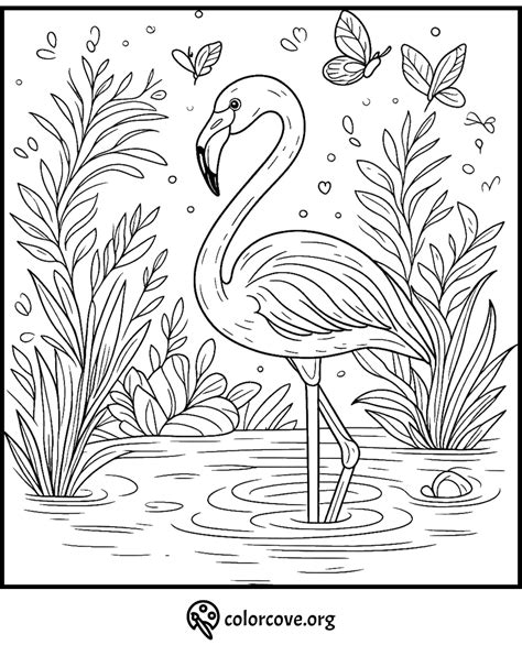 20 Free Flamingo Coloring Pages – The Color Cove