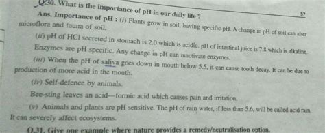 Ph has a great importance in our daily life explain it giving examples ...