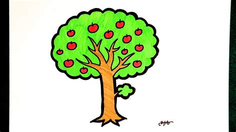 Image result for Simple Apple Tree Drawing