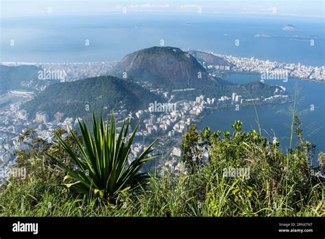 Brazil View 的图像结果