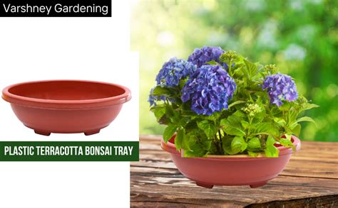 Varshney Gardening Plastic Terracotta Bonsai Tray (12 inch, 5 Pcs ...