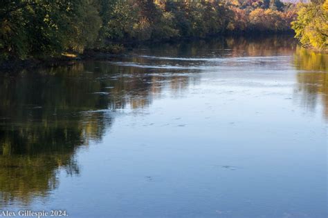 Image result for River Table Project