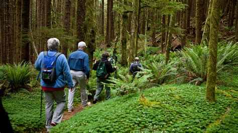 Forestry 的图像结果