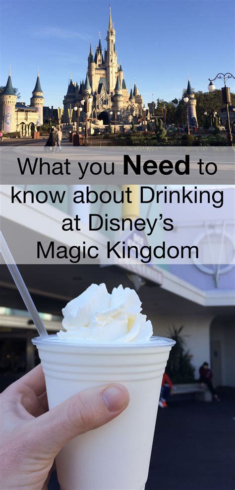 Alcohol Drinks Magic Kingdom at Dawn Boykins blog