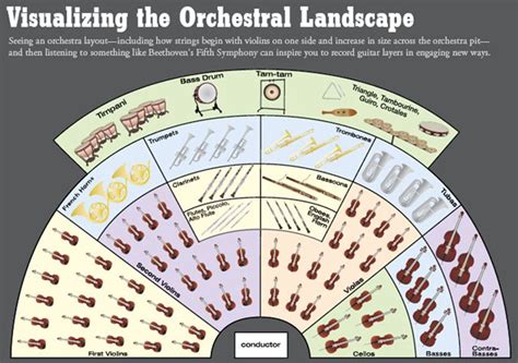 Image result for Orchestra Sections