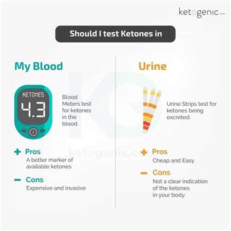 Ketones In Urine