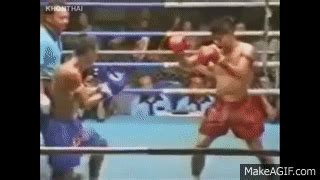 Funny Boxing 的图像结果