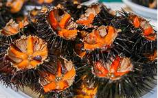conosci a memoria tutte le uova di pesce le conosci tutte cucinofacile it conosci a memoria tutte le uova di pesce le conosci tutte cucinofacile it