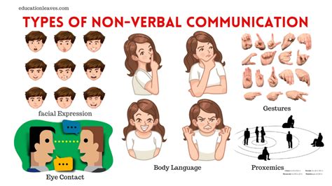 Nonverbal Communication Types 的图像结果
