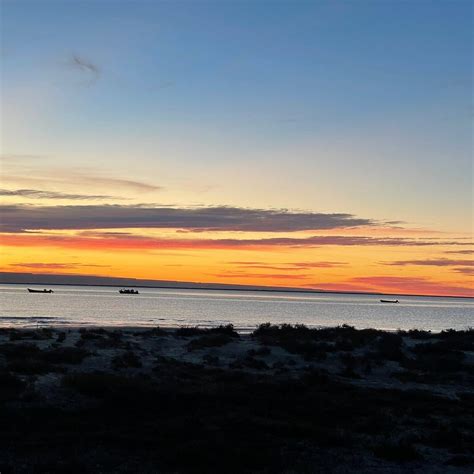 BAJA EXPEDITIONS - SAN IGNACIO LAGOON (2026) All You Need to Know ...