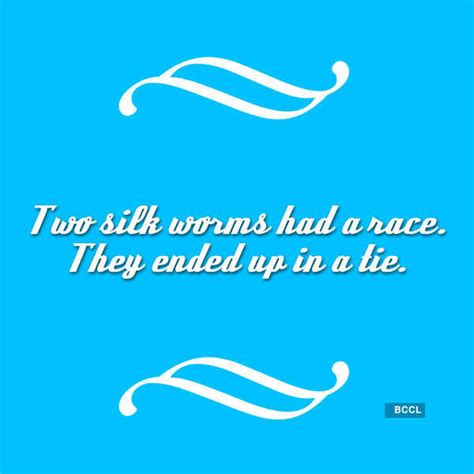 Two silk worms had a race - Photogallery