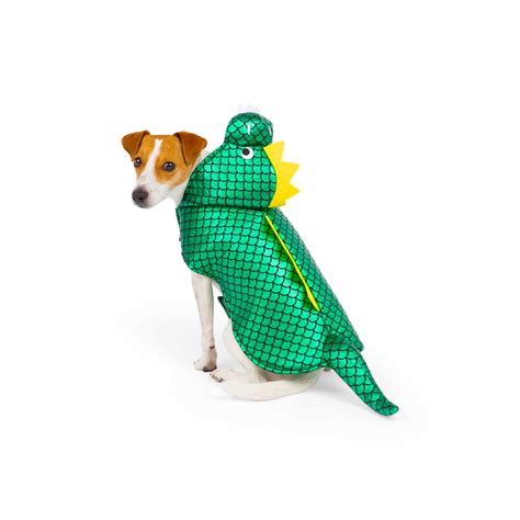 One Paw, Dinosaur Dog Costume, Halloween, Dinosaur Dog Costume ...