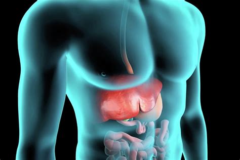 Liver biopsy – Dr Srikanth