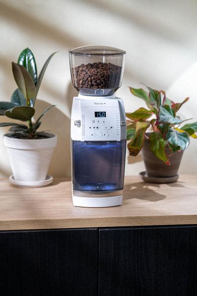 Baratza Vario+ Coffee Grinder – 230V (White) | Flat Burrs, Digital Pre ...