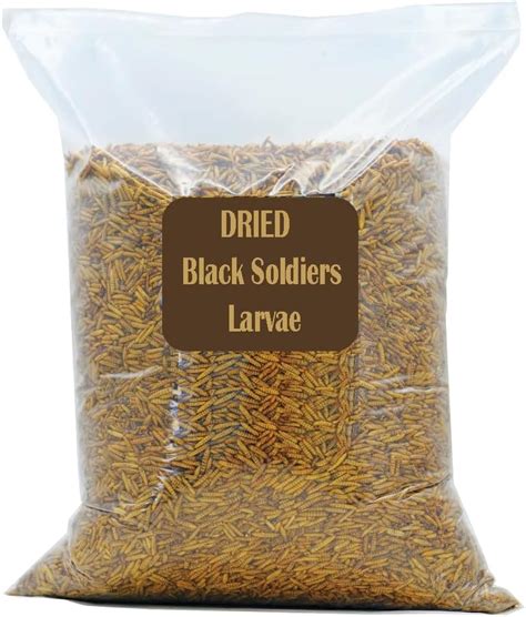 Buy Dried Black Soldier Fly Larvae - 100% Natural, Protein Rich Fish ...