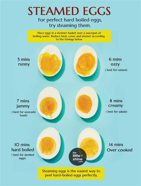 How to Steam Eggs to Get Them Perfectly Cooked? - The Little Shine