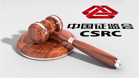 中国证监会：上市公司治理准则（全文）_股东