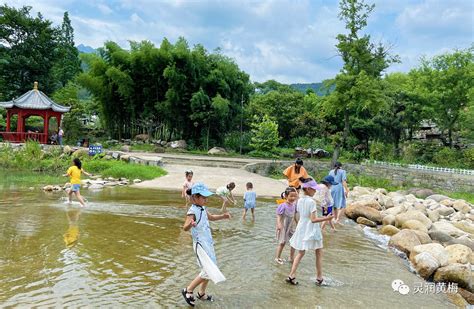 广东佛山旁的原始森林边有两条清澈的小溪，是踏青和玩水的好地方_双龙