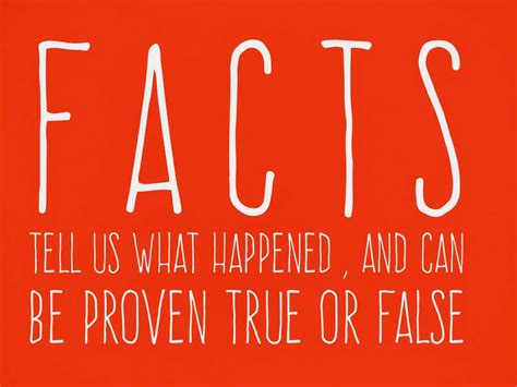 Fact Example 的图像结果