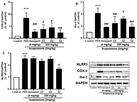 Smart Farming Enhances Bioactive Compounds Content of Panax ginseng on ...